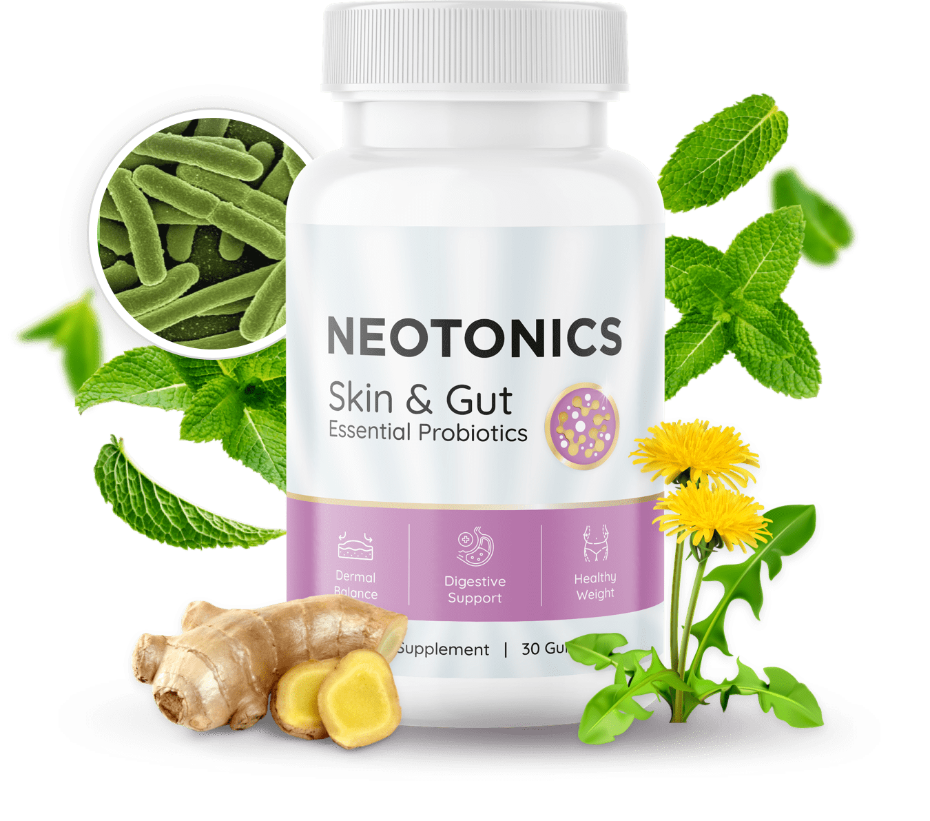 Neotonics skin and gut essential probiotics gummy