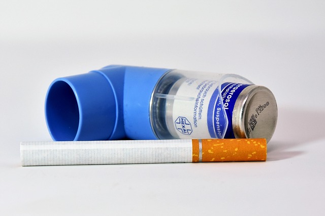 NAC N-Acetyl Cysteine Benefits for Lungs - BioBoost Reviews 2026
