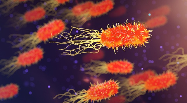 Spermidine Benefits for Skin Aging Autophagy - BioBoost Reviews 2026